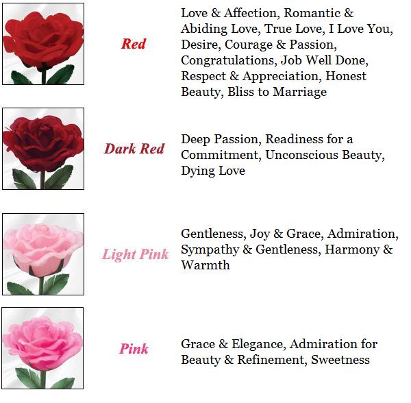 Rose Meanings Chart